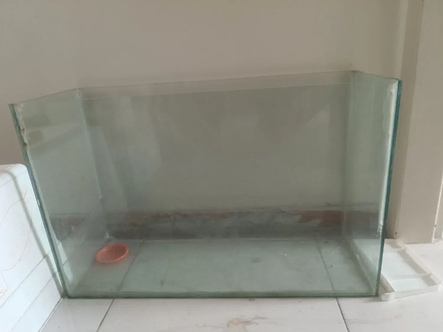 آکواریوم شیشهای ساده|ماهی|تهران, جمالزاده|دیوار