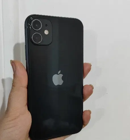 iPhone 11نرمال|موبایل|بوشهر, |دیوار