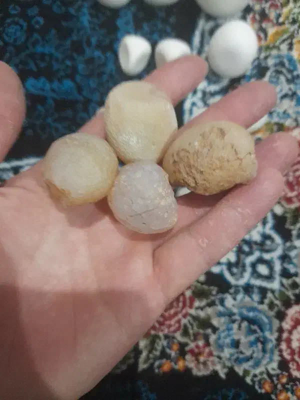 ۱۲عدد سنگ اسیاب سفید|جواهرات|بستان آباد, |دیوار