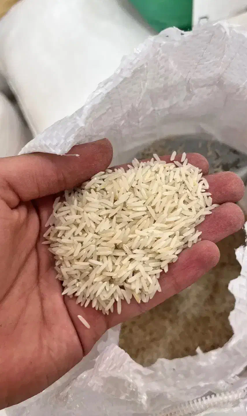 برنج پاکستانی نفیس|خوردنی و آشامیدنی|تهران, تهرانپارس جنوبی|دیوار