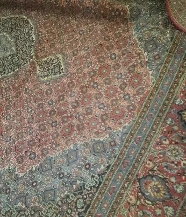 فرش ۱۲متری|فرش|دزفول, |دیوار