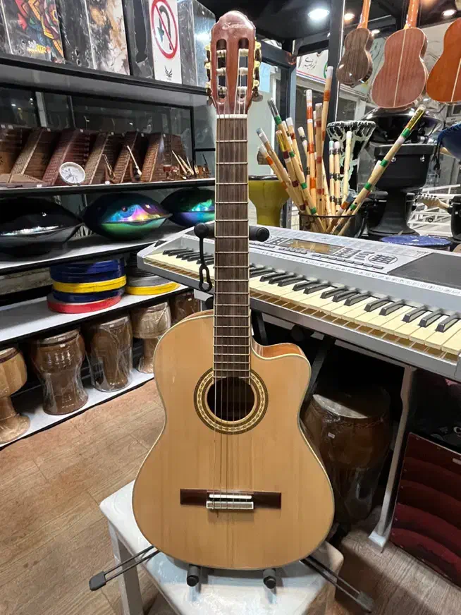 گیتار کلاسیک کاتوی سانتانا گالری موسیقی آرتیا|گیتار، بیس، امپلیفایر|لاهیجان, انقلاب|دیوار