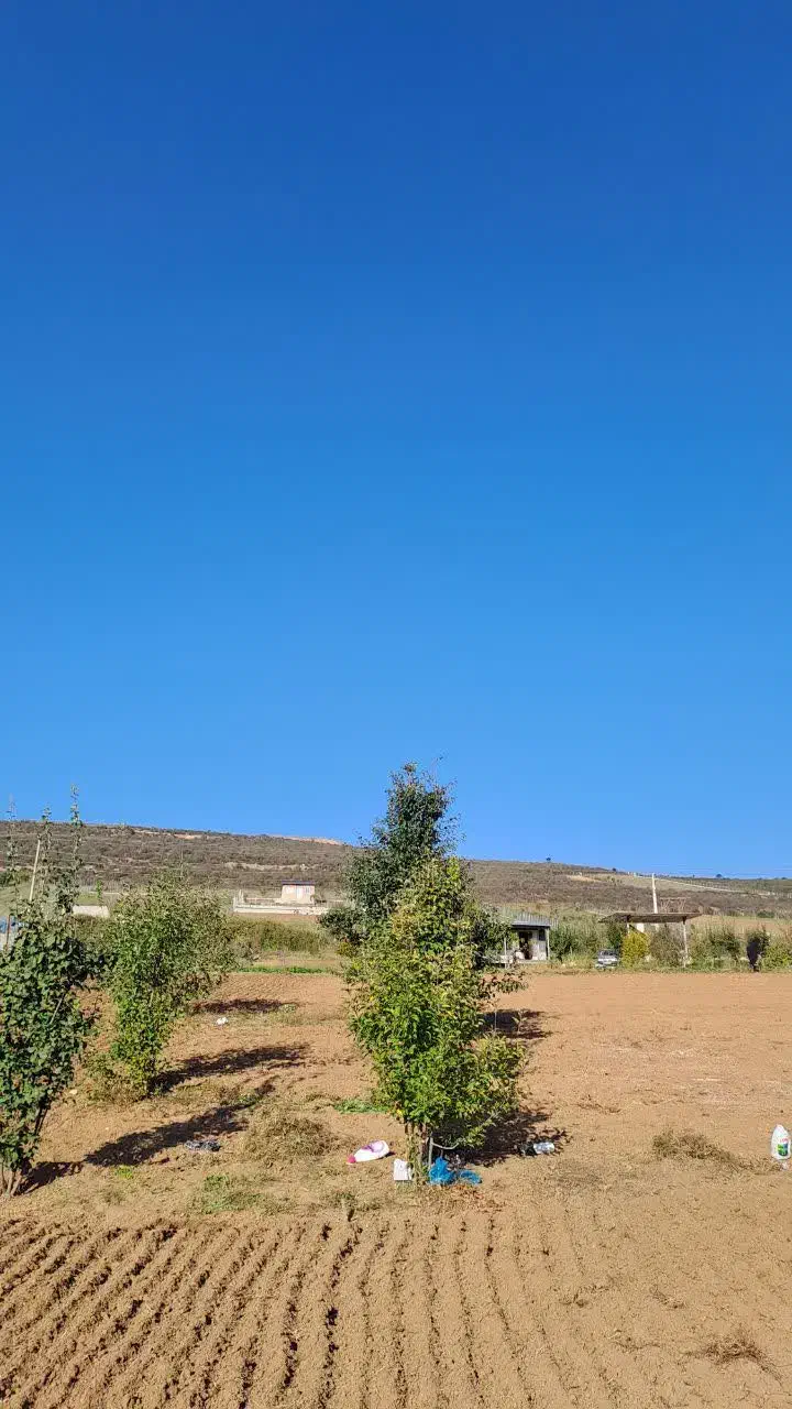 فروش زمین درییلاق خوش آب وهوای دودانگه علی آباد|فروش زمین و ملک کلنگی|فریم, |دیوار