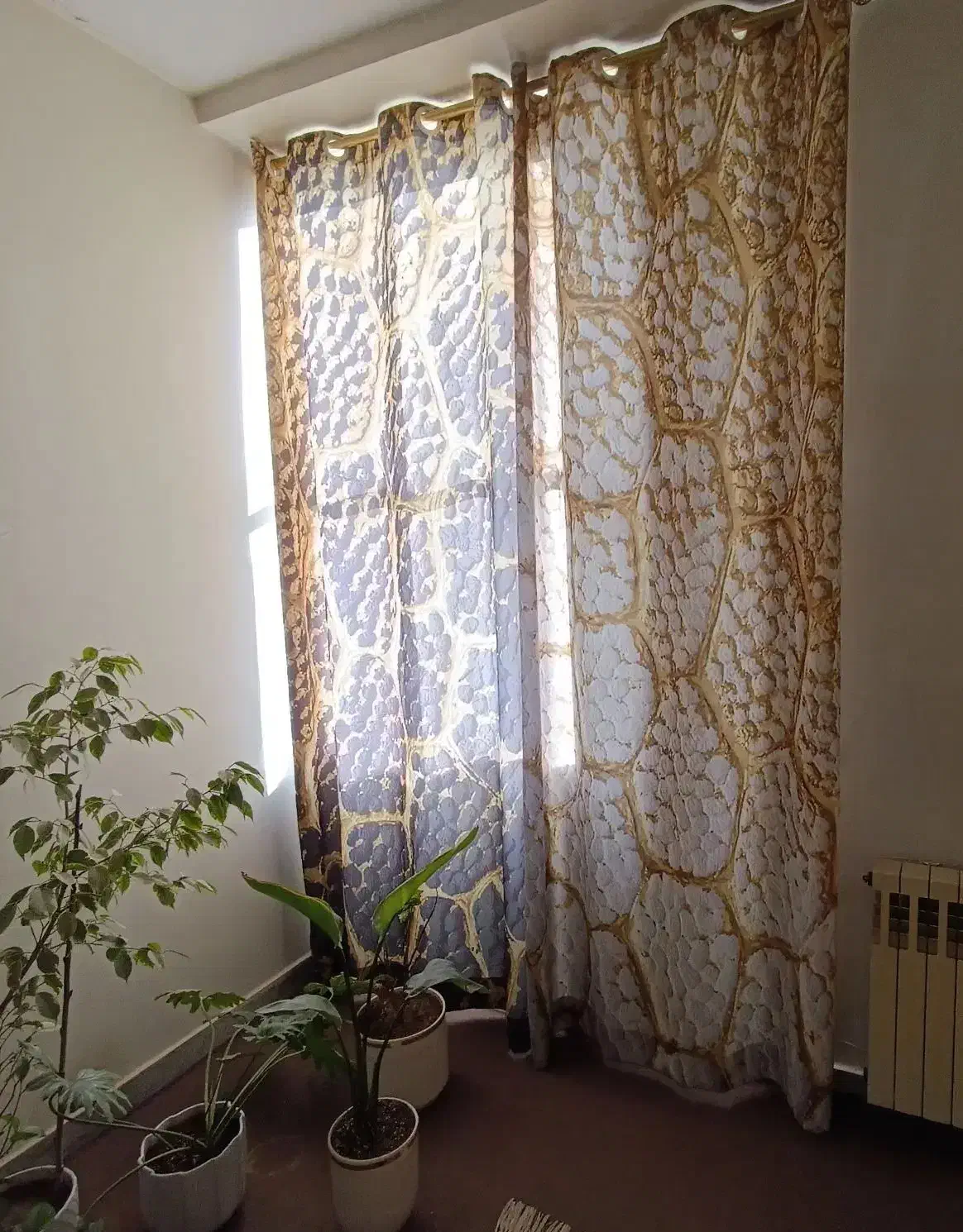 سه عدد پرده پانچی آماده همراه چوب پرده|پرده، رانر، رومیزی|کرج, گلشهر|دیوار