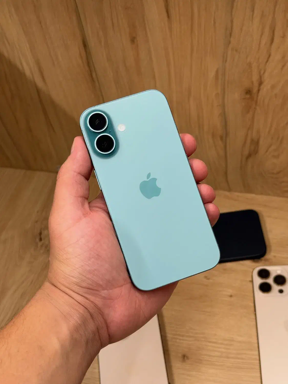 آیفون ۱۶ نرمال ۱۲۸|موبایل|بندرعباس, |دیوار