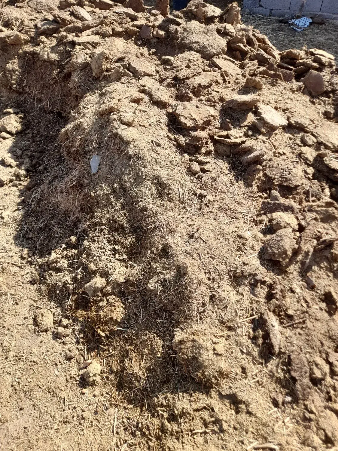 کودگوسفندی|حیوانات مزرعه|چترود, |دیوار