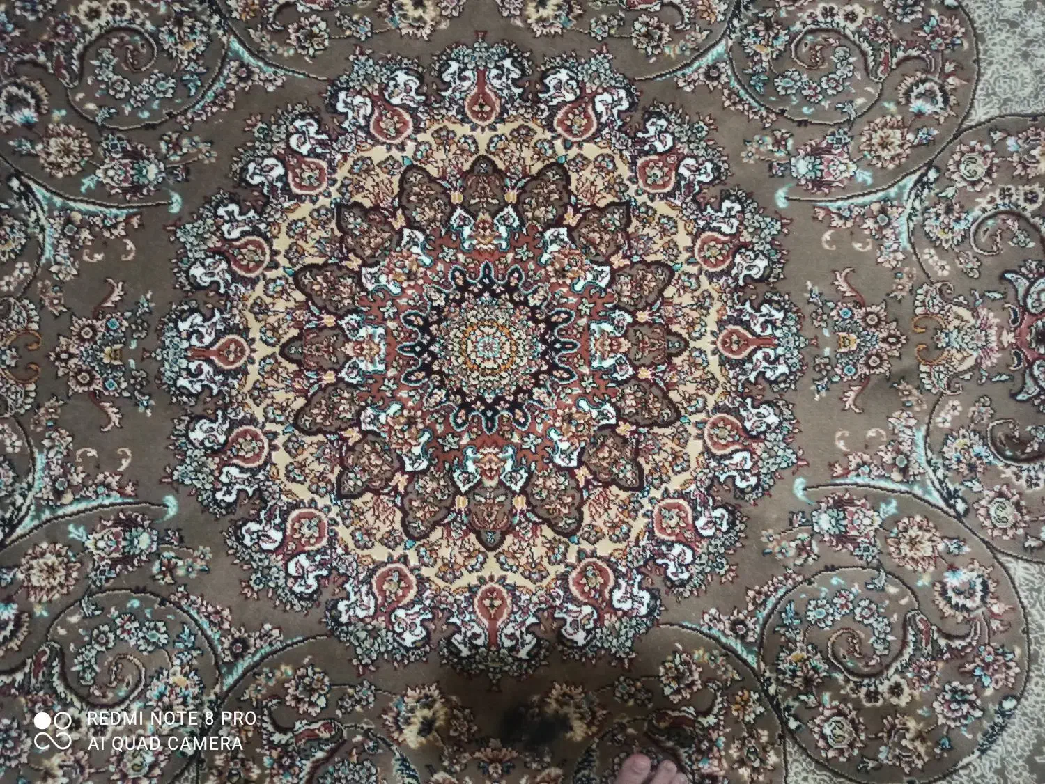 دو عدد فرش شش متری|فرش|بروجرد, |دیوار