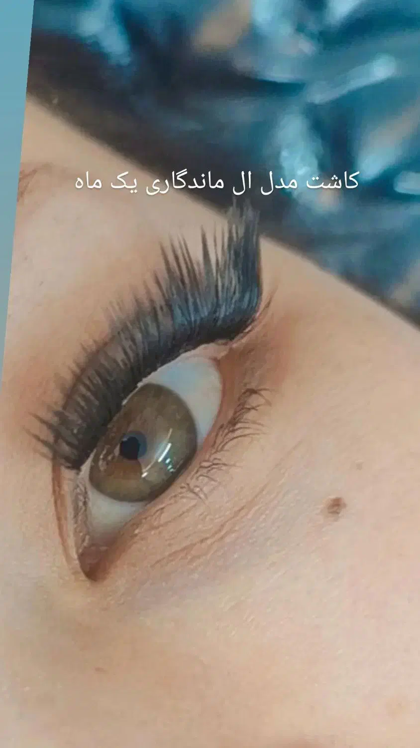 مژه و پرسینگ|خدمات آرایشگری و زیبایی|تبریز, |دیوار