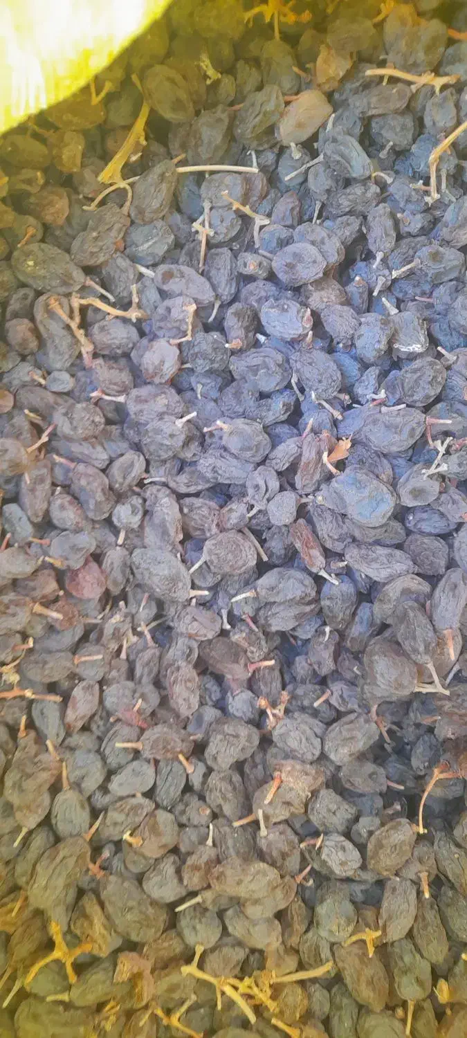 فروش کشمش آفتابی درشت و تیزابی وفخری|خوردنی و آشامیدنی|ضیاء آباد, |دیوار