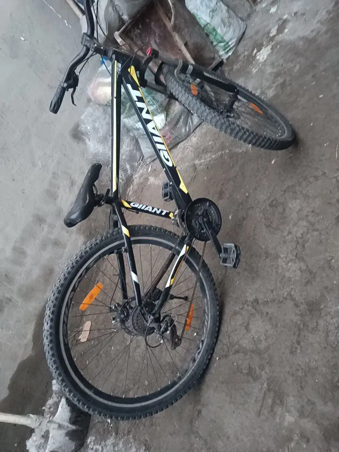 چرخ سوار|دوچرخه، اسکیت، اسکوتر|باسمنج, |دیوار