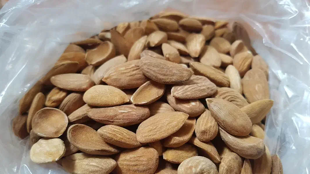 مغز گردو بادام پسته و بنه ،خلال گردو|خوردنی و آشامیدنی|شیراز, گلشن|دیوار