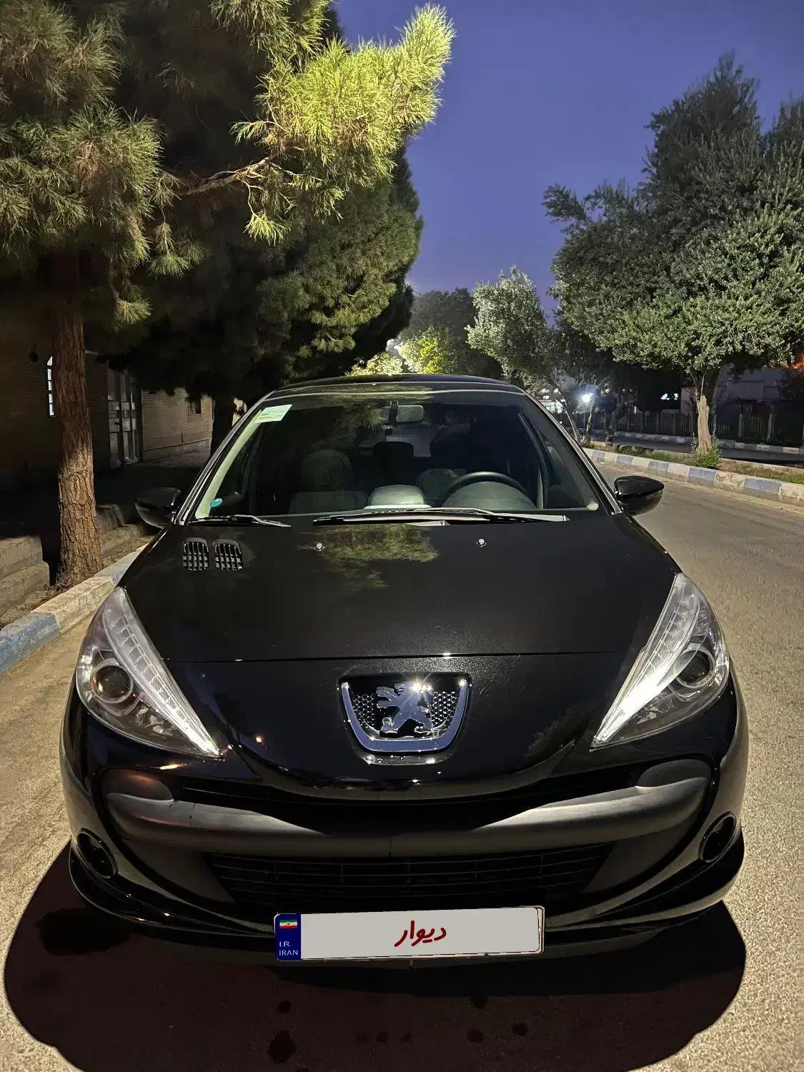 207 سقف شیشه ۱۴۰۱|خودرو سواری و وانت|شاهینشهر, امام حسین|دیوار