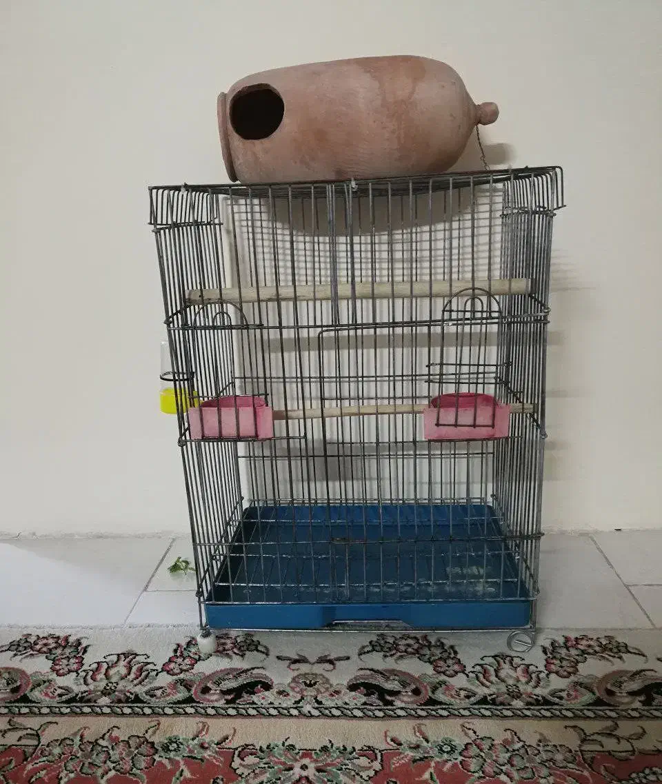 فروش فوری قفس پرتده|لوازم جانبی حیوانات|تربت‌حیدریه, قائم|دیوار