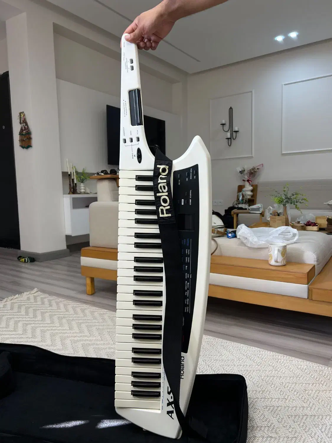 گیو رولند|پیانو، کیبورد، آکاردئون|رشت, آزادگان|دیوار