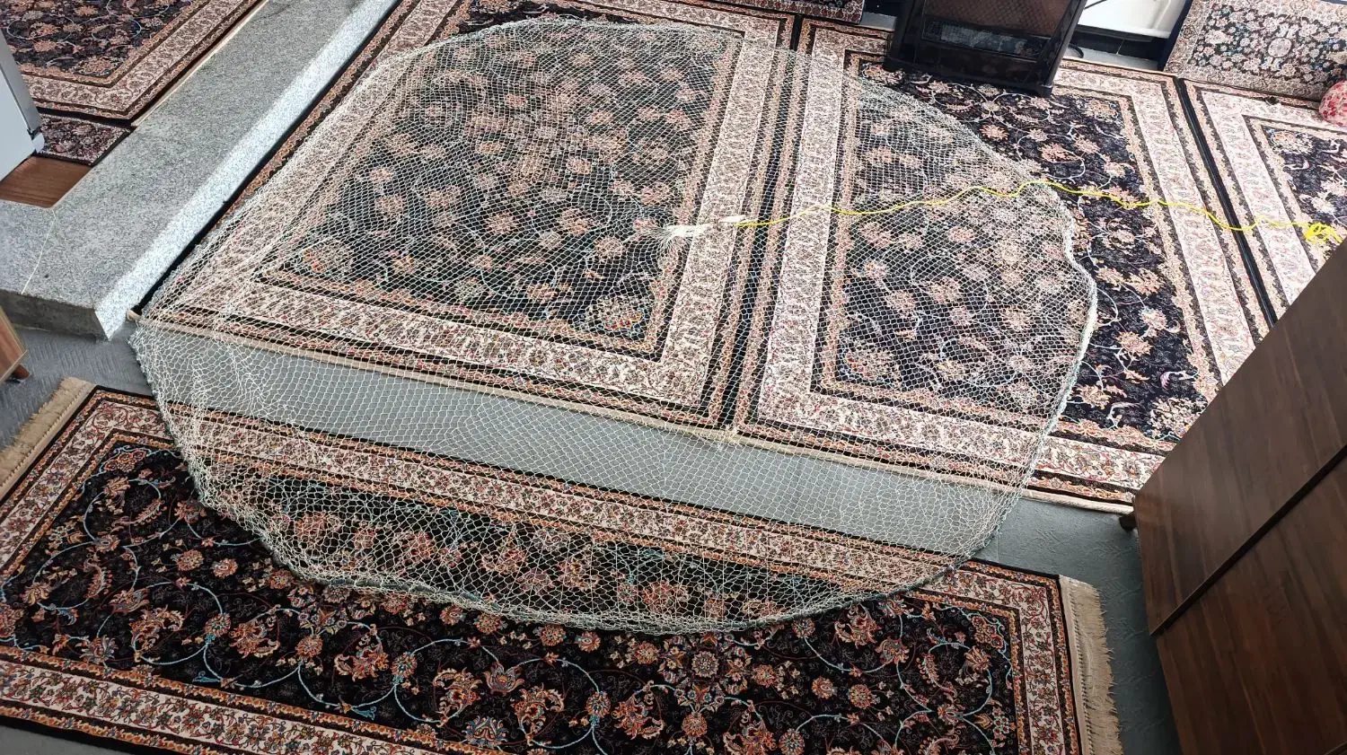 تور ماهیگیری|ماهیگیری|نقده, |دیوار