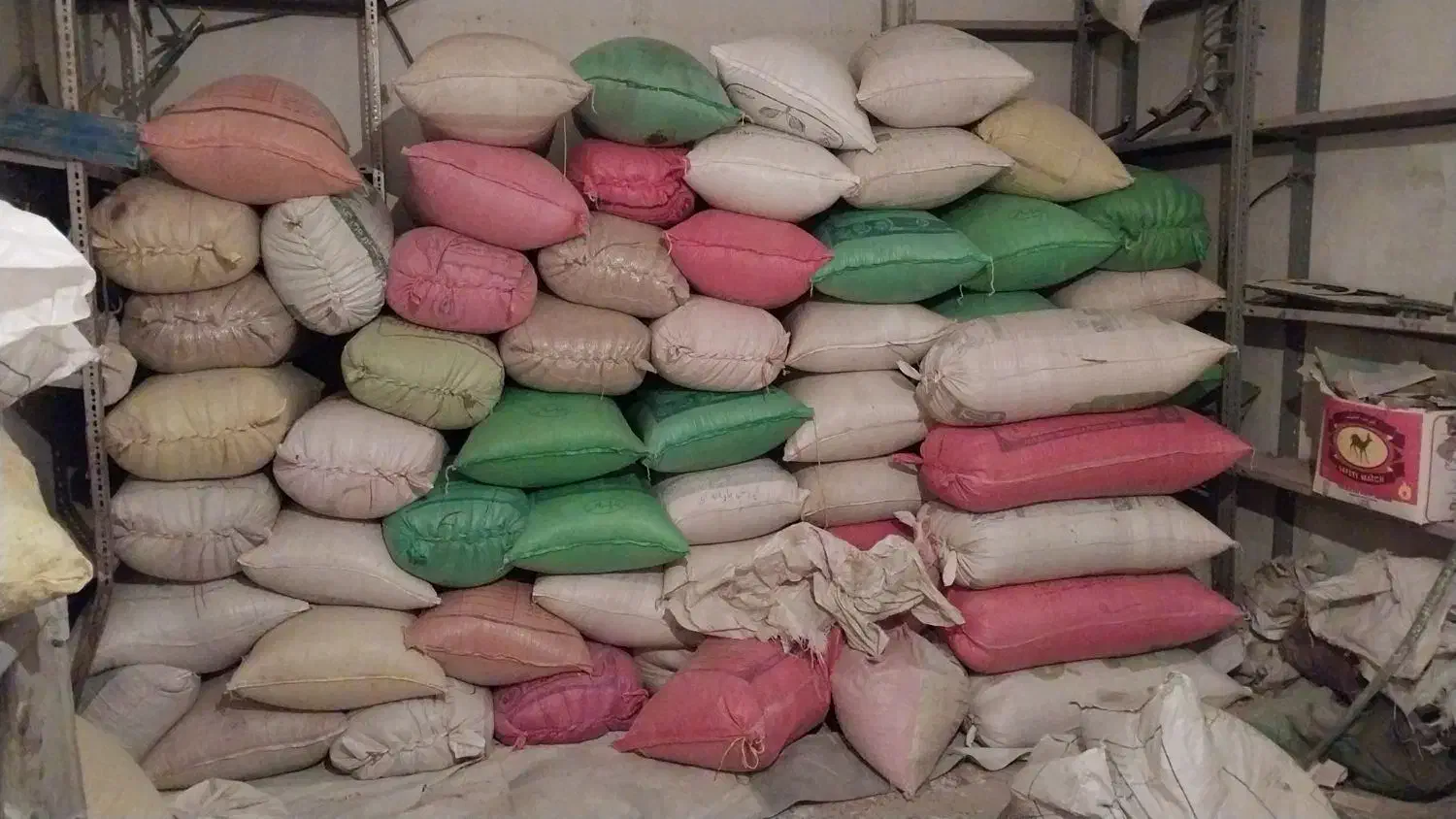 گندم صدرا  بذری|لوازم جانبی حیوانات|آبکوه, |دیوار