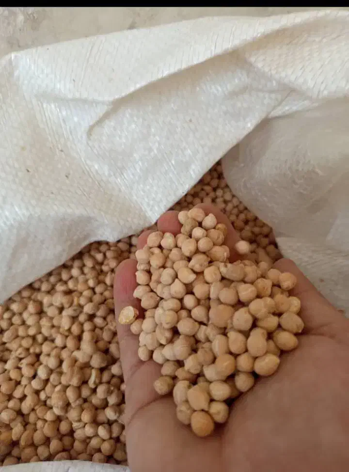 حبوبات|خوردنی و آشامیدنی|شیراز, میانرود|دیوار