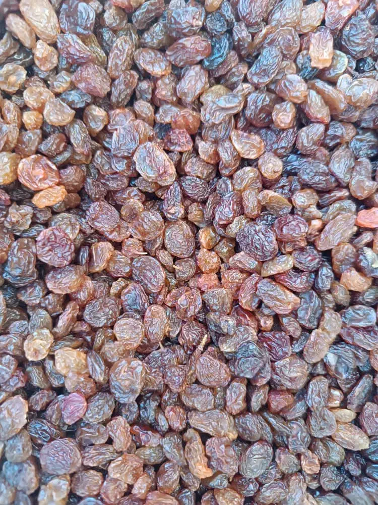 فروش گردو ، کشمش سبز قلمی و کشمش پلویی ، شیره|خوردنی و آشامیدنی|رومشکان, |دیوار