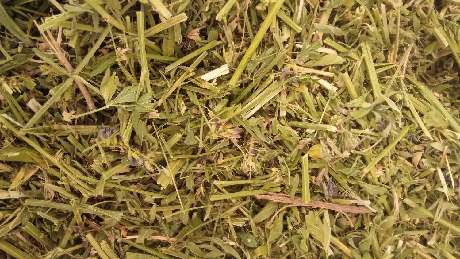 یونجه|لوازم جانبی حیوانات|اسفراین, |دیوار