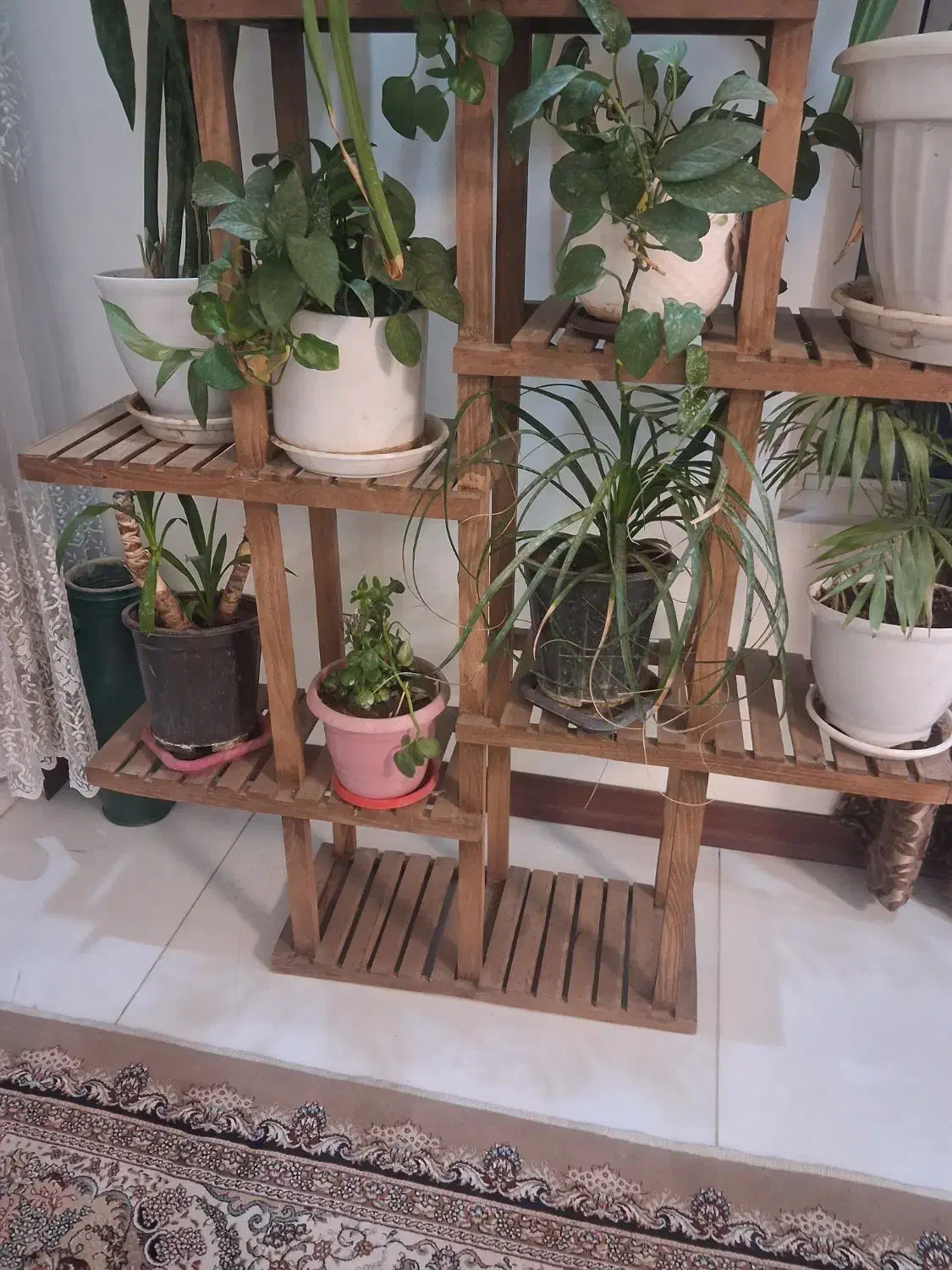 استند گل با گل|گل و گیاه طبیعی|اصفهان, جلالیه|دیوار