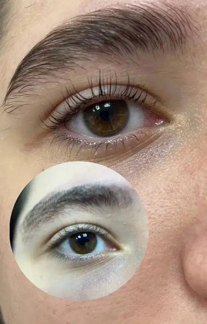 تخفیف ویژه لیفت ابرو و مژه|خدمات آرایشگری و زیبایی|رشت, استادسرا|دیوار