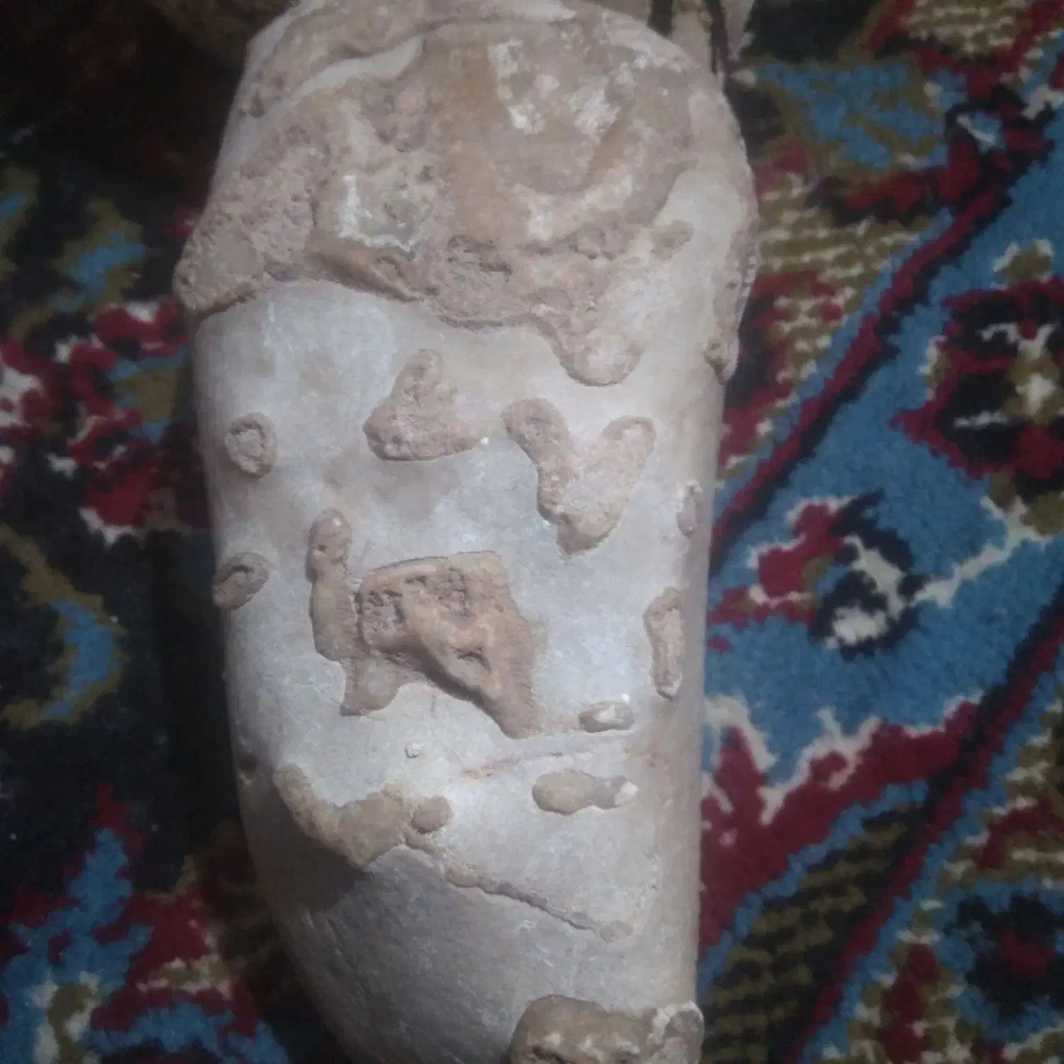 سنگ فسیل|جواهرات|نیمروز, |دیوار