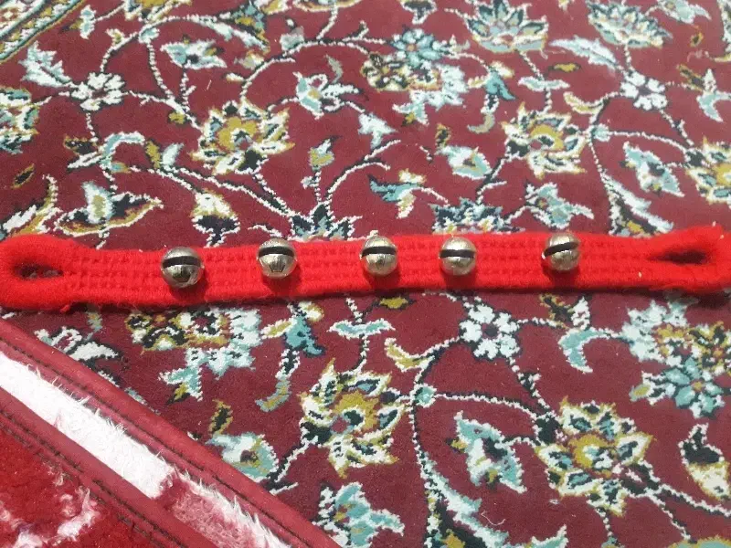 قلاده|لوازم جانبی حیوانات|نجفآباد, حومه نجف آباد|دیوار