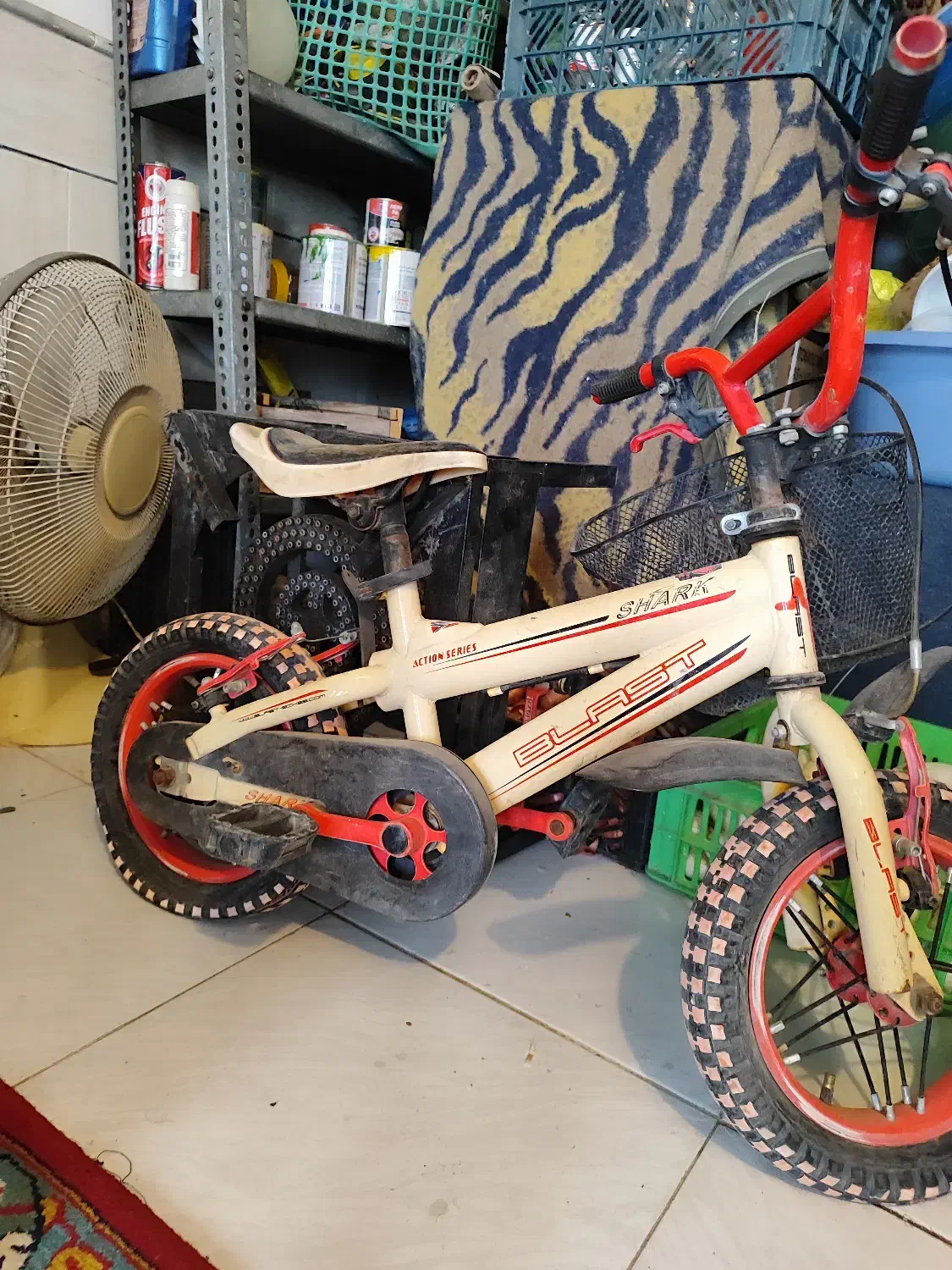 دوتادوچرخهبچهگانه|دوچرخه، اسکیت، اسکوتر|کاشان, ملا حبیبالله شریف|دیوار