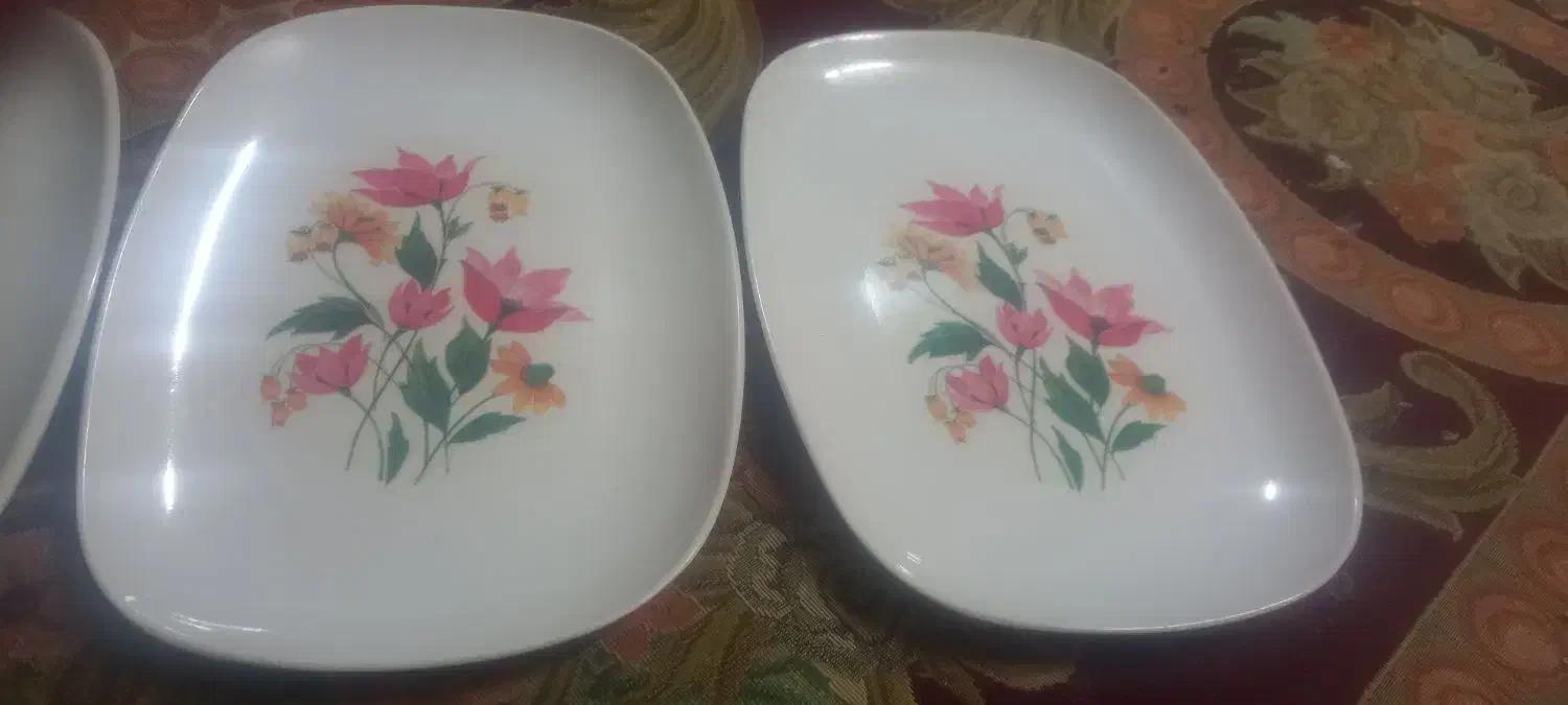 سینی نونو|ظروف سرو و پذیرایی|شیراز, شهرک قمشه|دیوار