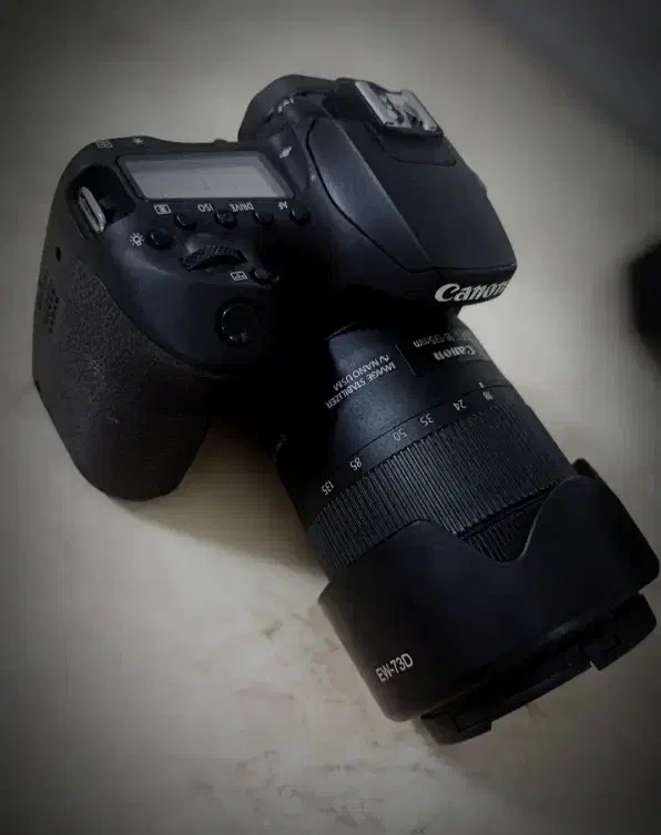 دوربین|دوربین عکاسی و فیلمبرداری|پردیس, فاز ۲|دیوار