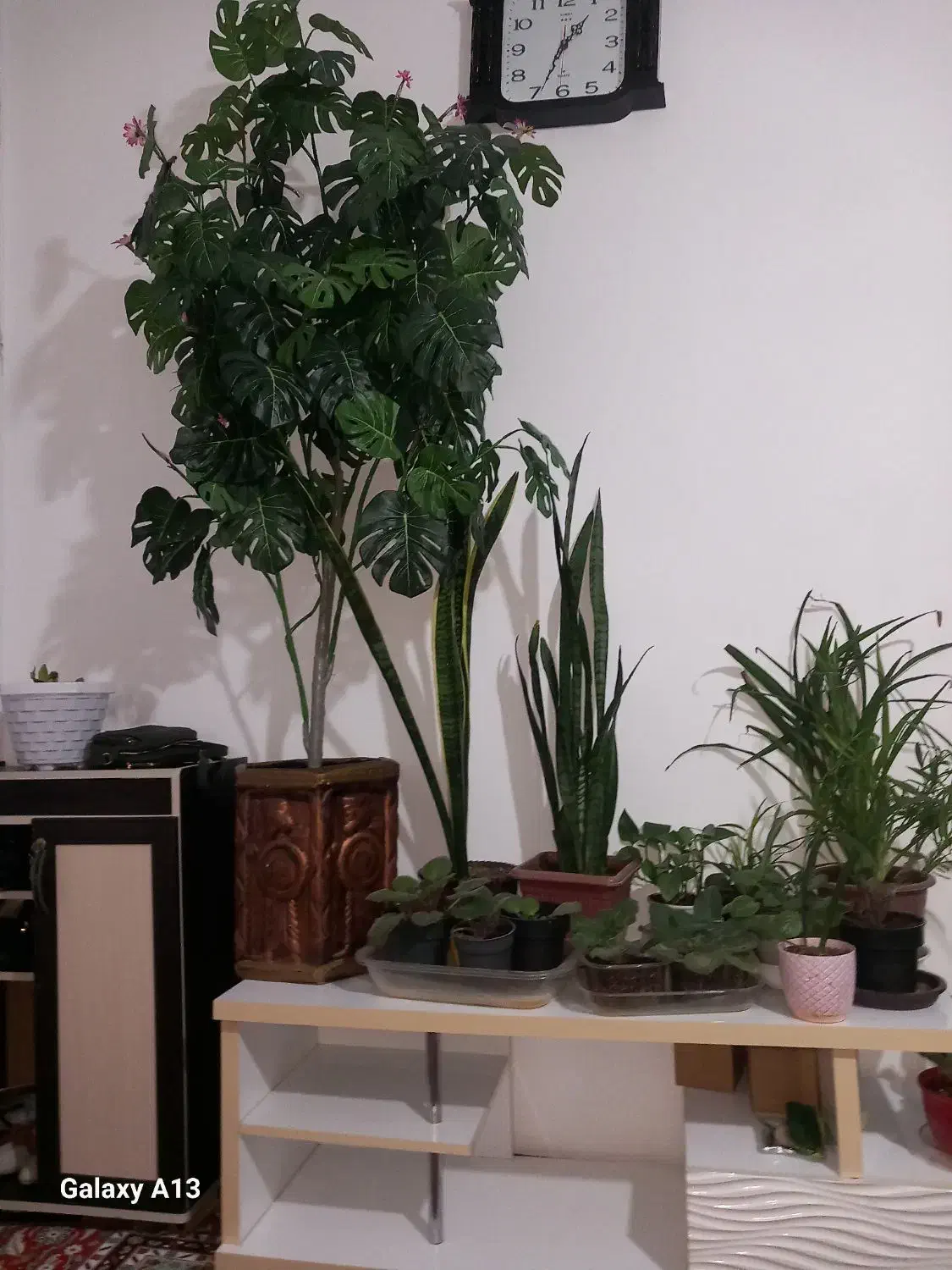 مایل به معاوضه نیستم|گل مصنوعی|خوی, |دیوار