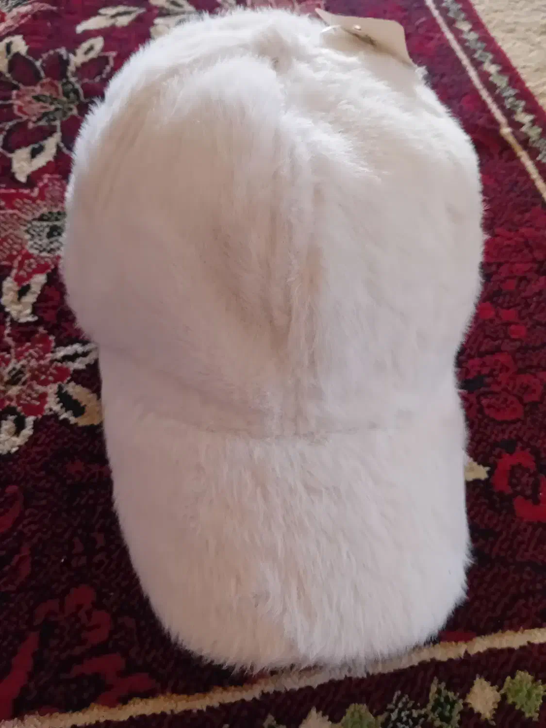 نونو|کیف، کفش، کمربند|بروجرد, |دیوار