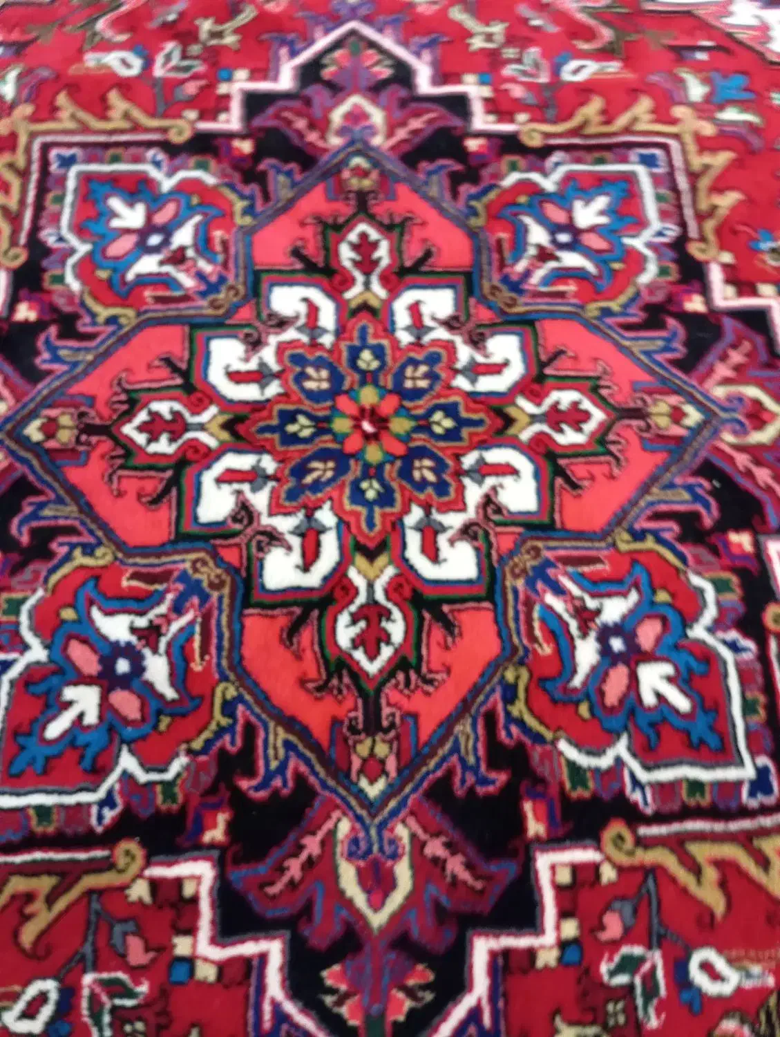 فرش تاجری هریس|فرش|تبریز, |دیوار