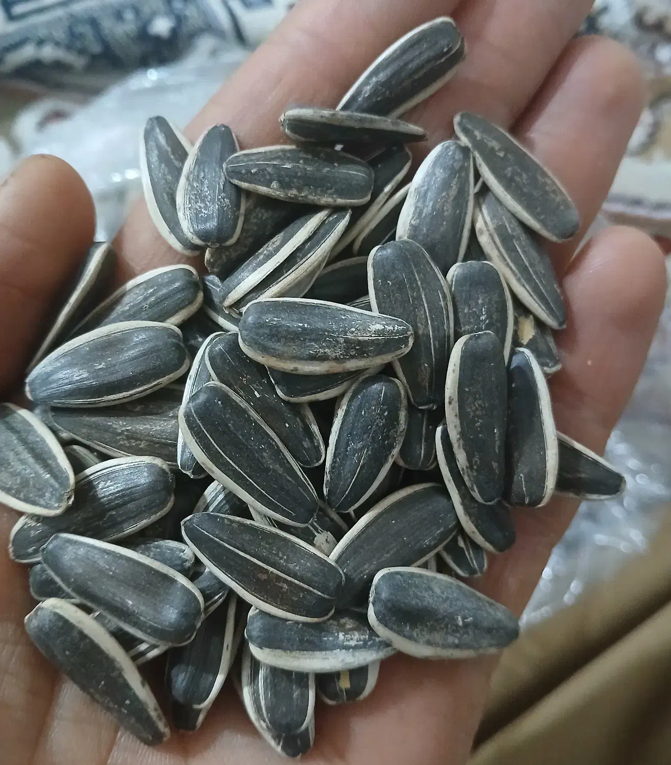 تخمه افتابگردان s400|عمده‌فروشی|محمدبار, |دیوار