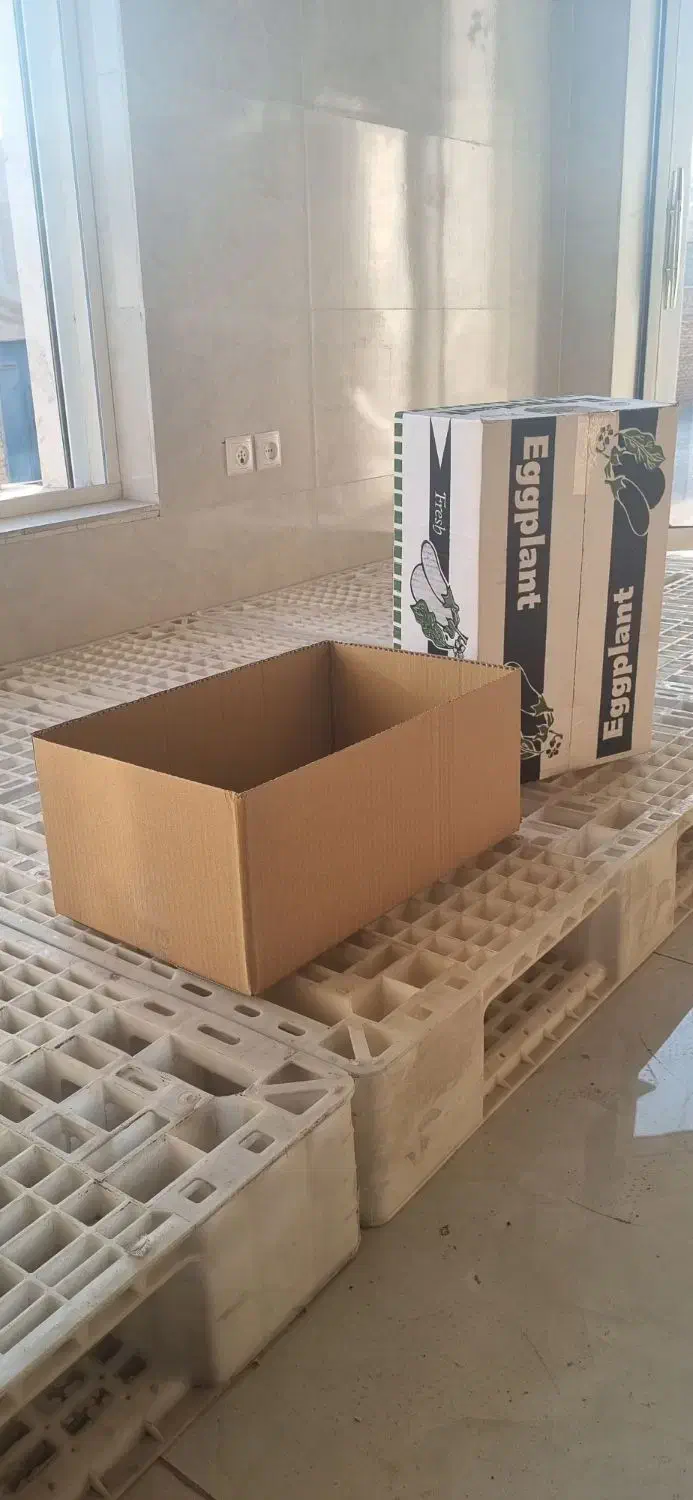 فروش کارتن صادراتی بادمجان|عمدهفروشی|یزد, |دیوار