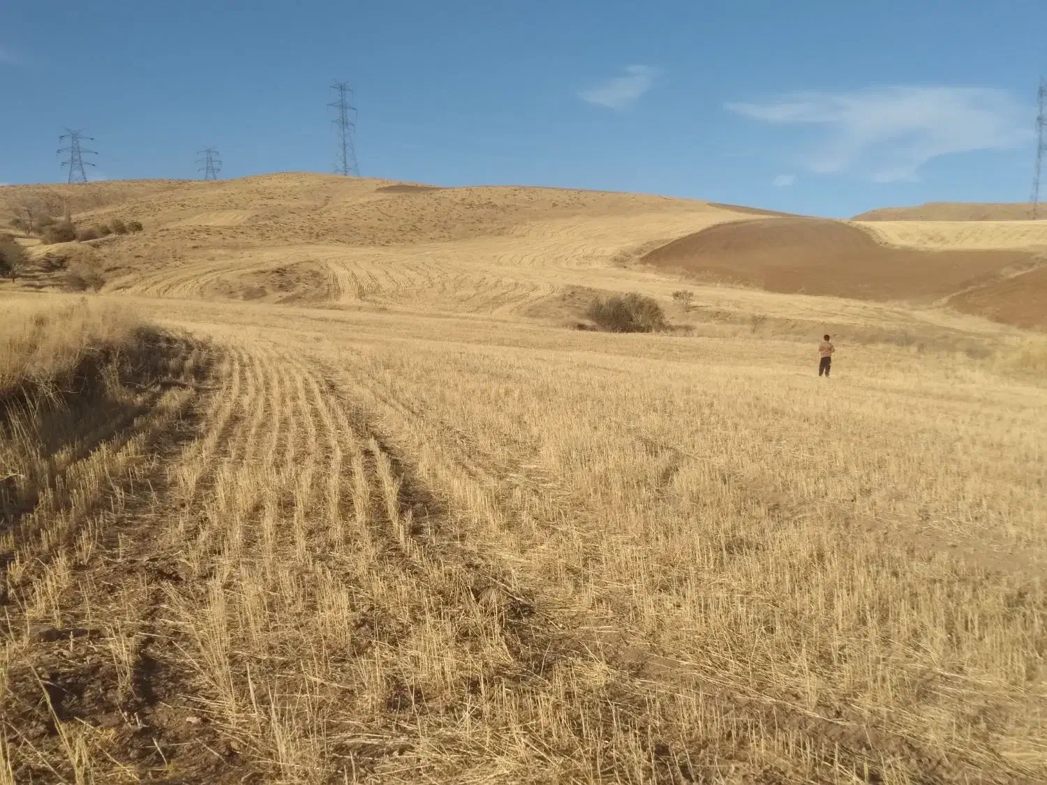 زمین زراعی|فروش دفتر صنعتی، کشاورزی، تجاری|ایجرود, |دیوار