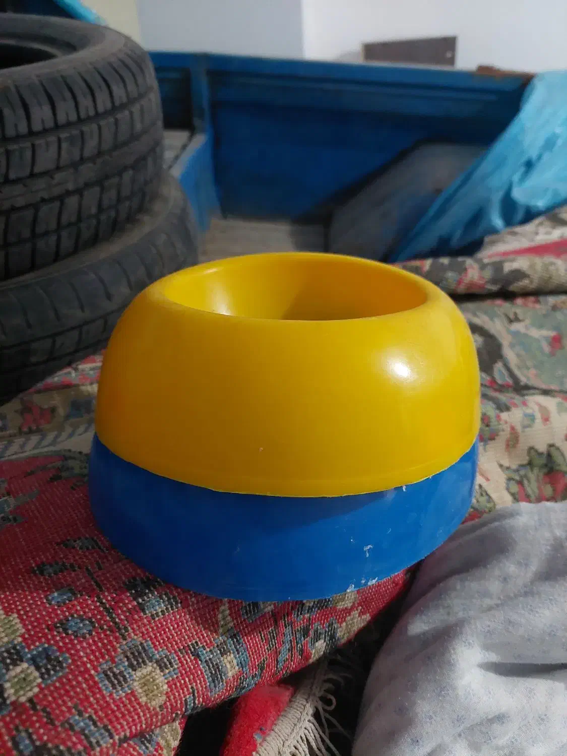 وسایل نگهداری سگ پا کوتاه|لوازم جانبی حیوانات|بجنورد, |دیوار