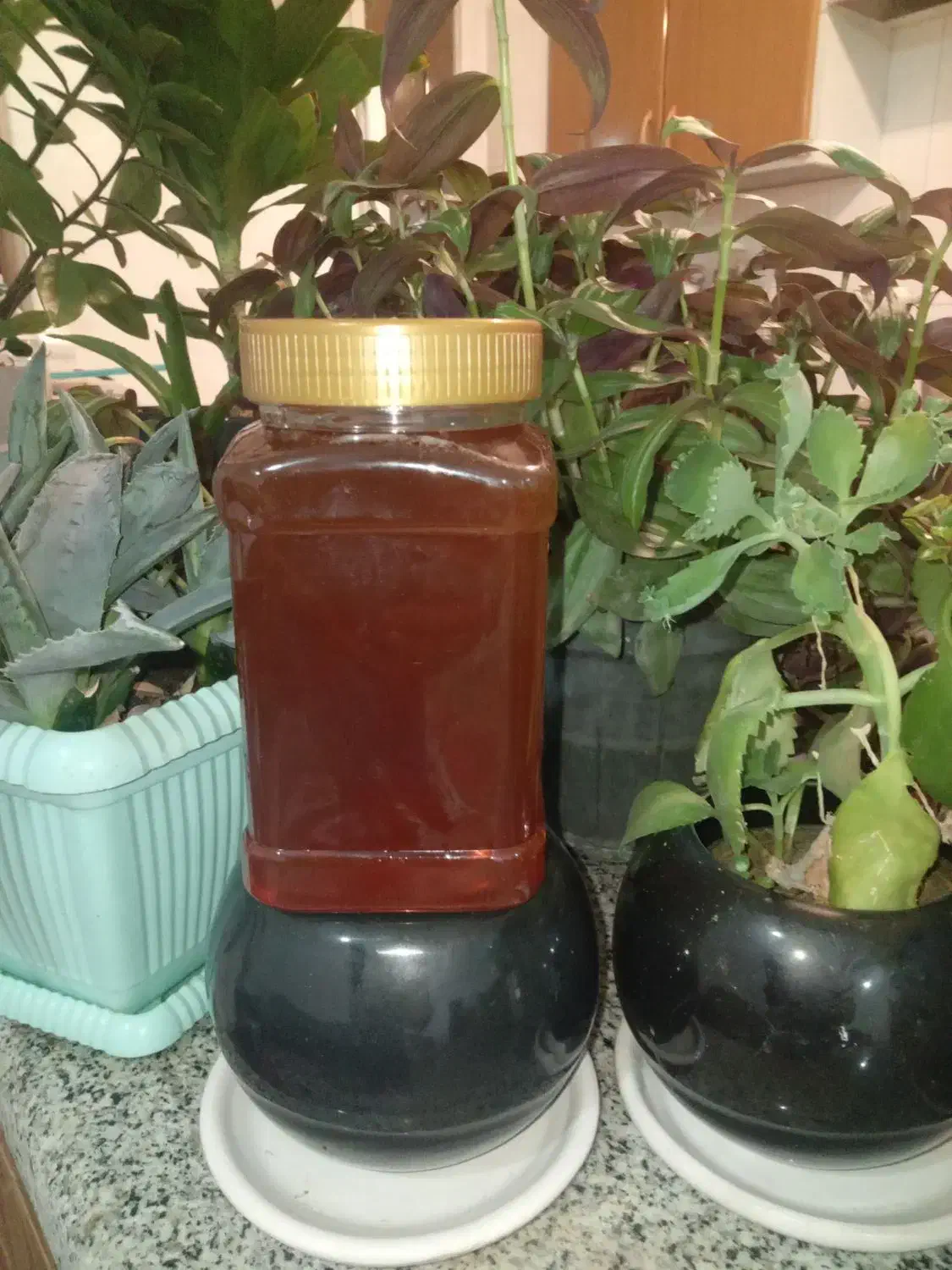 عسل اورگانیک|خوردنی و آشامیدنی|مهاجران, |دیوار