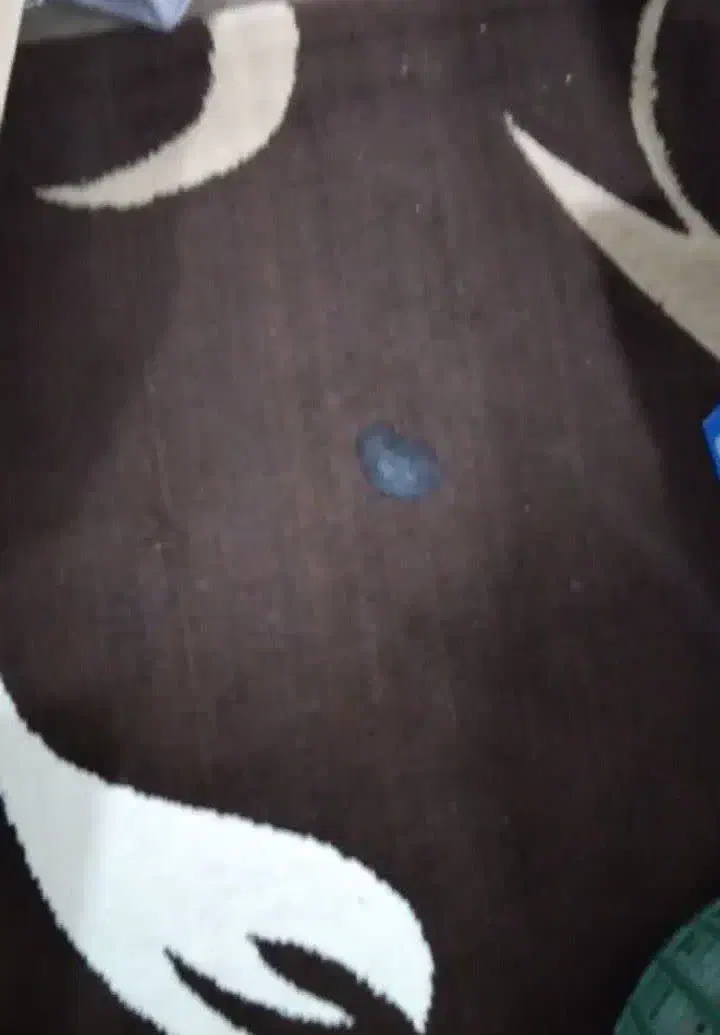 گلیم فرش|گلیم، جاجیم، گبه|قشم, |دیوار