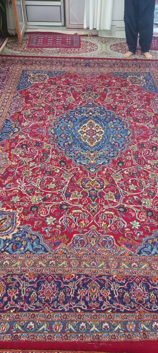 ۱۲متری دستباف|فرش|دامغان, |دیوار