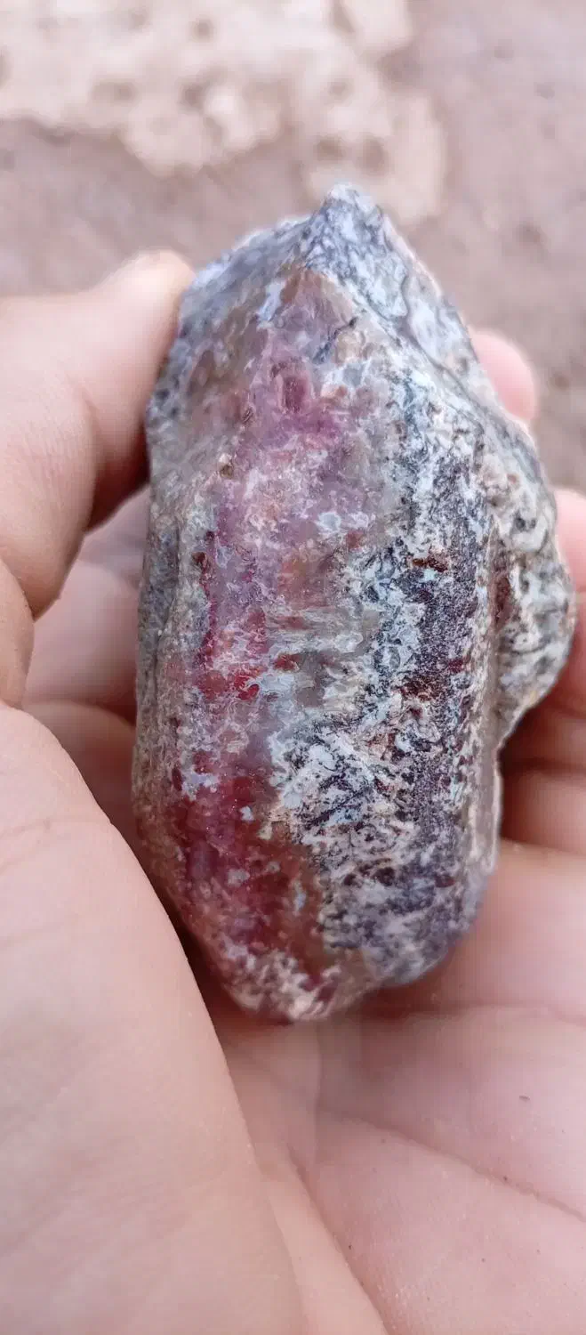 شجر|جواهرات|رفسنجان, |دیوار