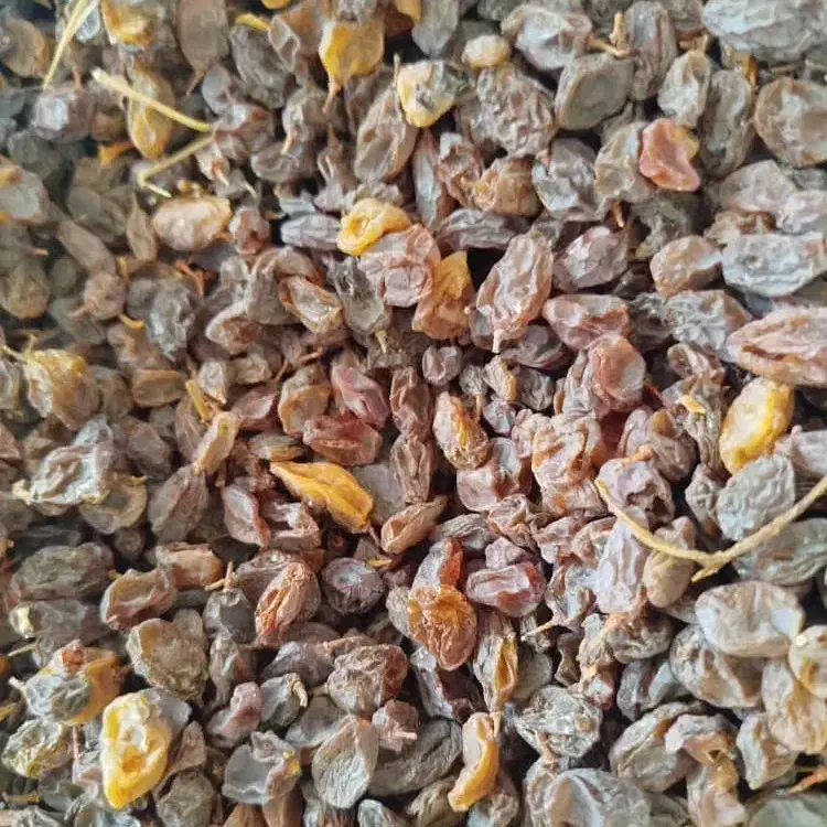 کشمش مویز|عمده‌فروشی|بیضا, |دیوار