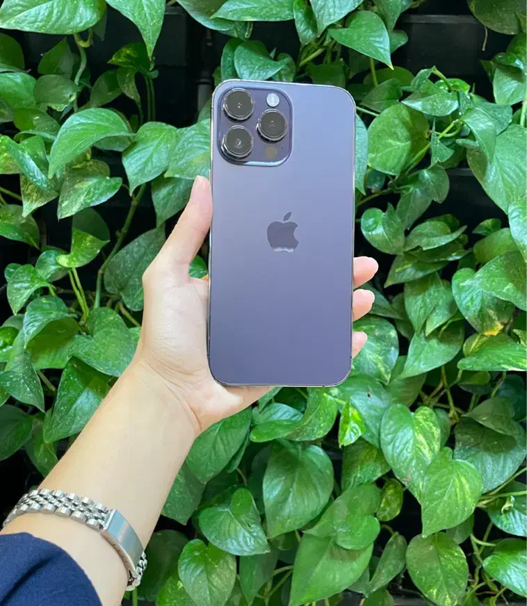 اپلZA/A iphone 14 pro 256G*قسطی*|موبایل|شیراز, معالی‌آباد|دیوار