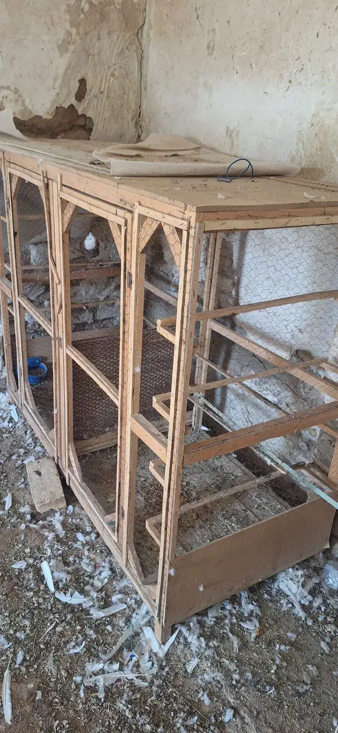 قفس چوبی|لوازم جانبی حیوانات|کاشان, کارخانه سایپا کاشان|دیوار