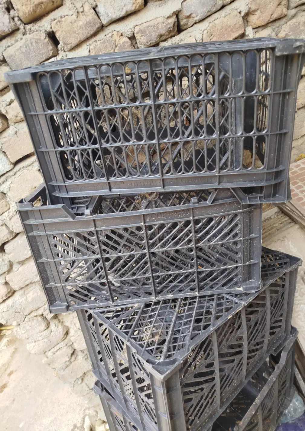 سبد|عمده‌فروشی|آزادشهر, |دیوار