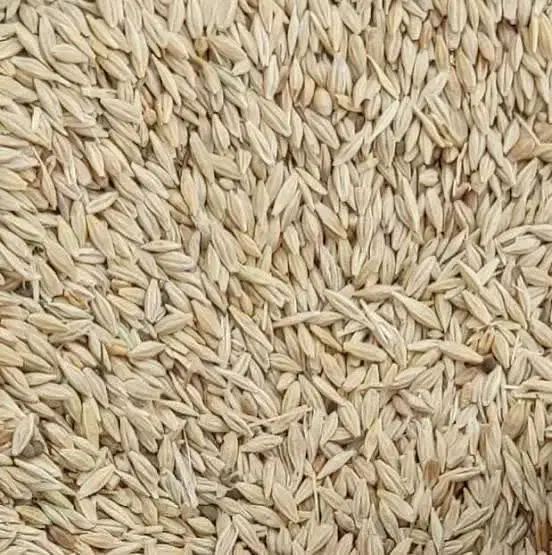 جو از انبار|خوردنی و آشامیدنی|قم, چهار مردان|دیوار