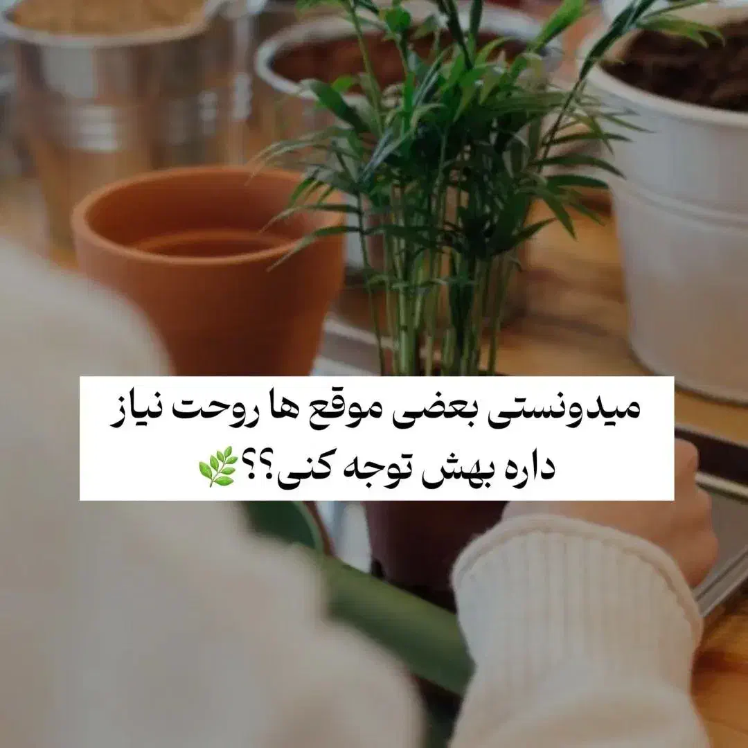 ایونت|گردهمایی و همایش|اصفهان, تخت فولاد|دیوار