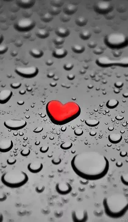 راهنمایی کنید مسکن مهر مجردها|فعالیت داوطلبانه|کرمانشاه, |دیوار