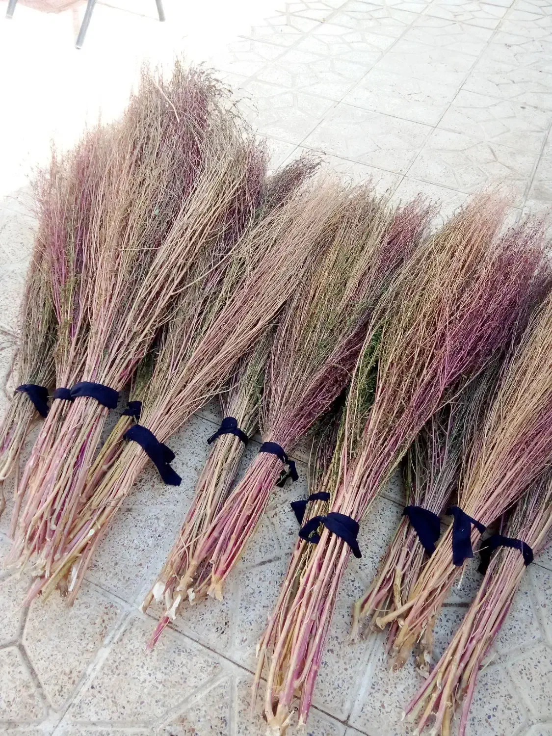 جارو شهرداری|لوازم نظافت|یاسوج, |دیوار