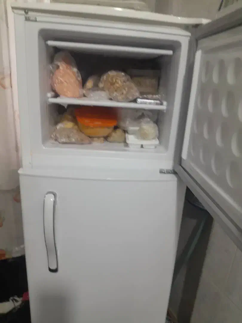 لوازم خانگی|یخچال و فریزر|رشت, دیلمان|دیوار